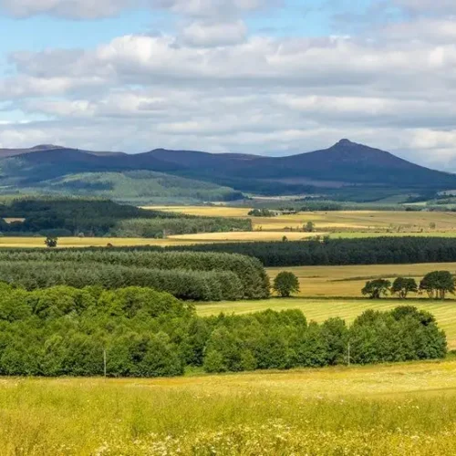 Bennachie